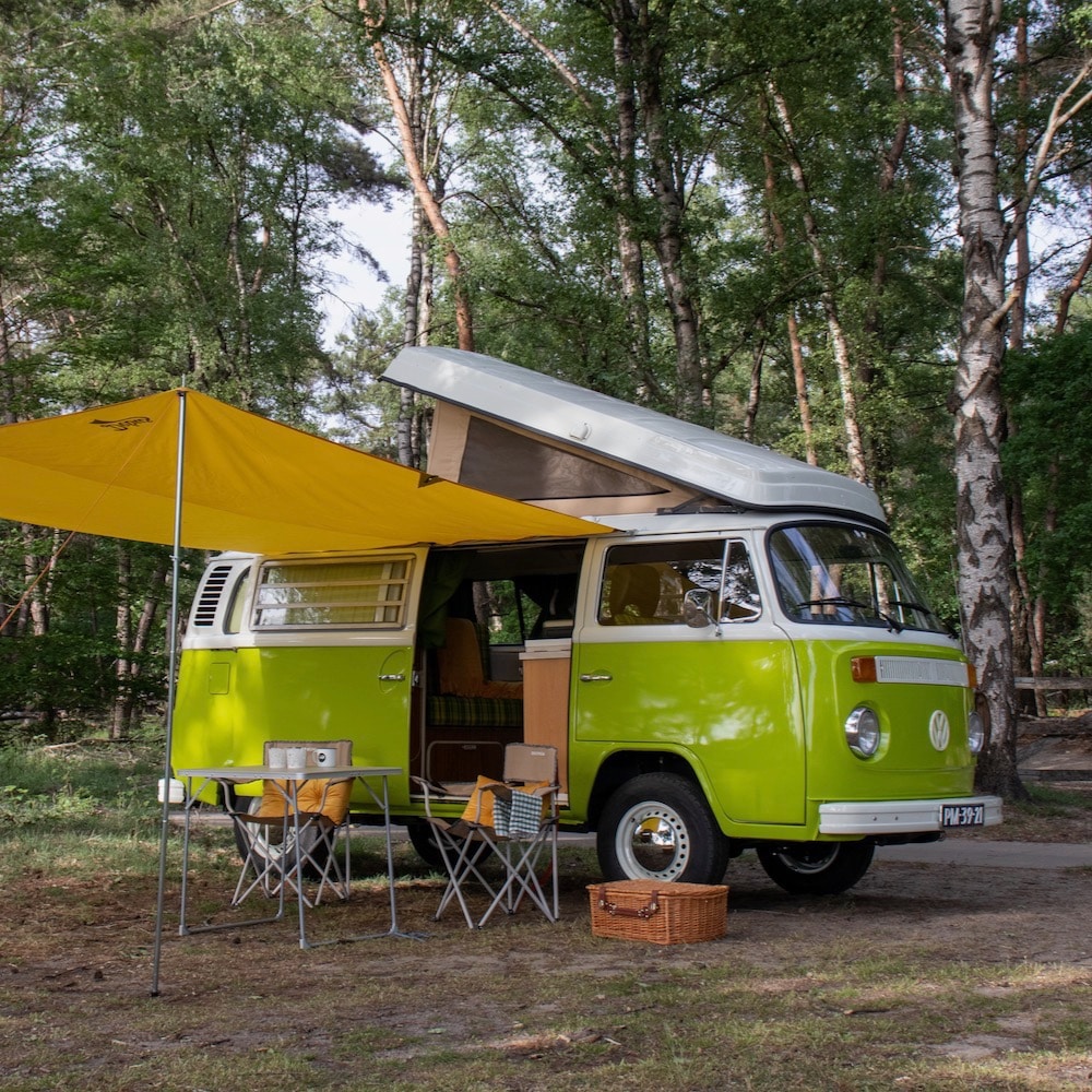 Groene Volkswagen camper op de veluwe