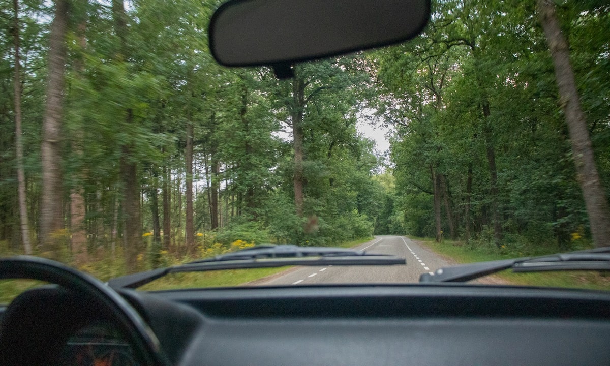 Weg door het bos gezien vanuit een Kever Cabrio